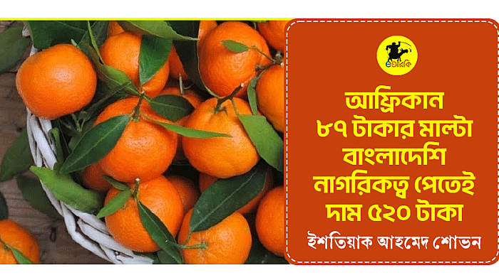 আফ্রিকান ৮৭ টাকার মাল্টা বাংলাদেশি নাগরিকত্ব পেতেই দাম ৫২০ টাকা