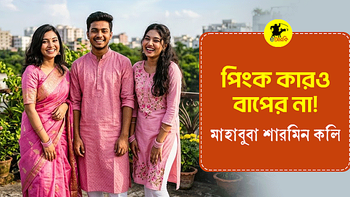 পিংক কারও বাপের না!