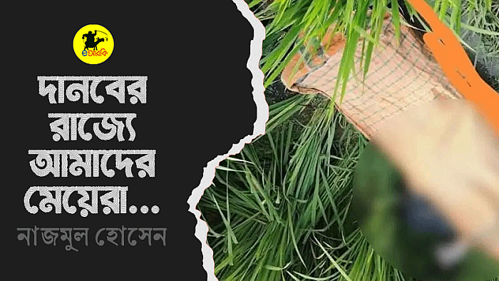 দানবের রাজ্যে আমাদের মেয়েরা...