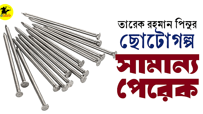 তারেক রহমান পিনুর ছোটোগল্প,  সামান্য পেরেক