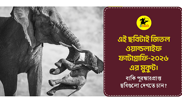 ওয়াইল্ড লাইফ ২০২৬-এর পুরস্কারপ্রাপ্ত মাথানষ্ট সব ছবিগুলো